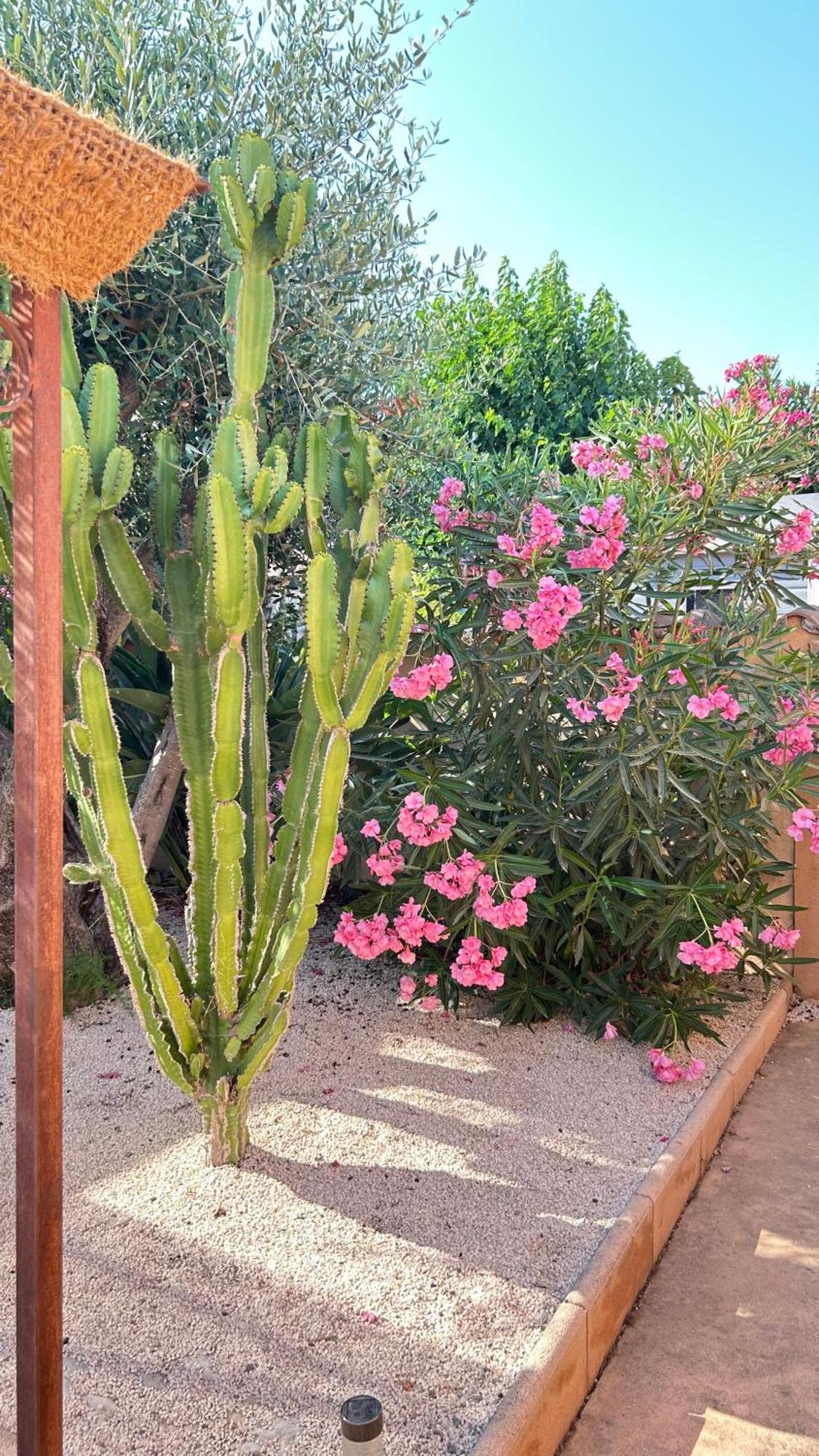 2 Hebergements - 10 Couchages - Parking, Piscine, Jacuzzi - Convivialite Roquebrune-sur Argens Zewnętrze zdjęcie